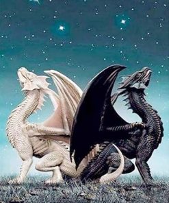 Dragon Twins Animal Picture Paint By Numbers