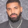 Drake Celebrity Paint By Numbers