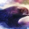 Dream Eagle Eyes Paint By Numbers