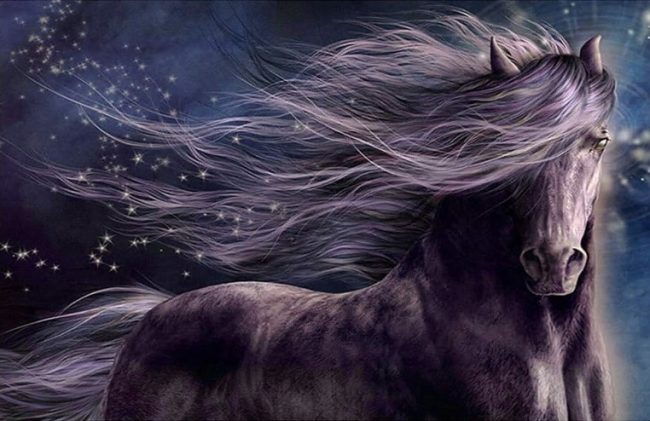 Dreamy Horse Wildlife Paint By Numbers