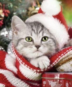 Christmas Kitten Animal Paint By Numbers