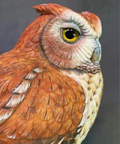 Eastern Screech Owl Birds Paint By Numbers