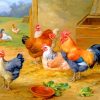 Edgar Hunt Roosters Paint By Numbers