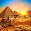 Ancient Egypt Camel Paint By Numbers