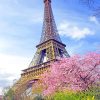 Paris in Spring Glow: Eiffel Tower Paint By Numbers