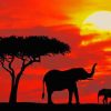 Elephants in Silhouette Paint By Numbers