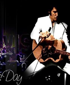 Elvis Presley Fan Scene Paint By Numbers