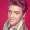 Elvis Presley Handsome Smile Paint By Numbers