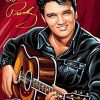 Elvis Presley Iconic Musician Paint By Numbers