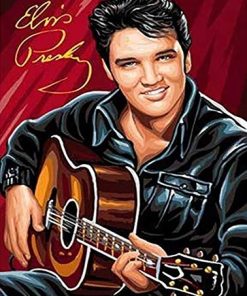 Elvis Presley Iconic Musician Paint By Numbers