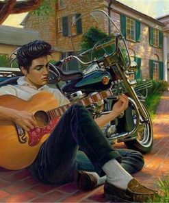 Elvis Presley Musical Icon Paint By Numbers