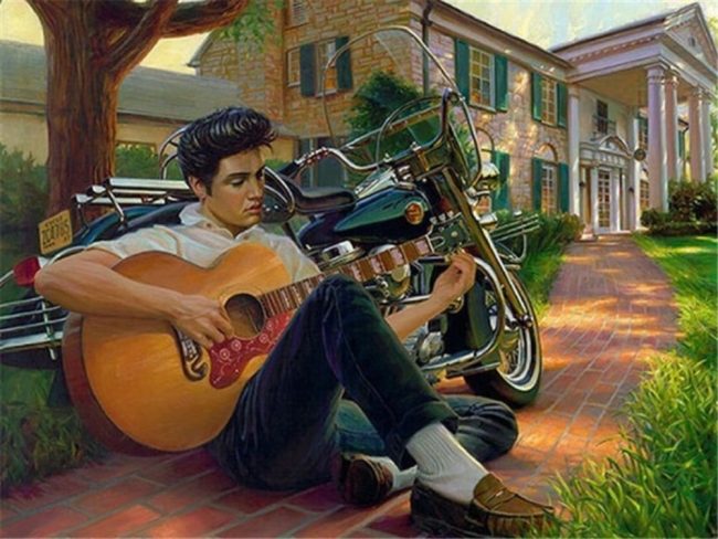 Elvis Presley Musical Icon Paint By Numbers