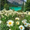 Emerald Lake Nature Scenery Paint By Numbers