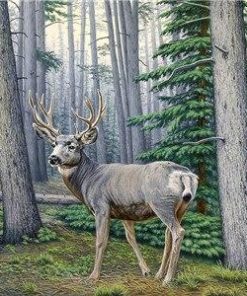 Misty Forest Deer Paint By Numbers