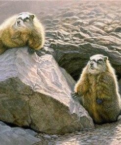 Prairie Dog Wildlife Paint By Numbers