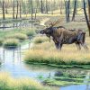 Moose Wildlife Paint By Numbers