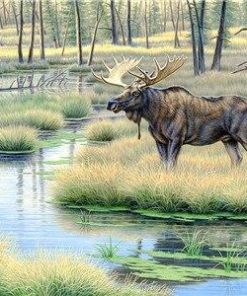 Moose Wildlife Paint By Numbers
