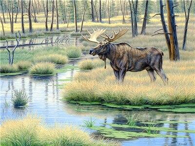 Finalizing Moose Wildlife Painting