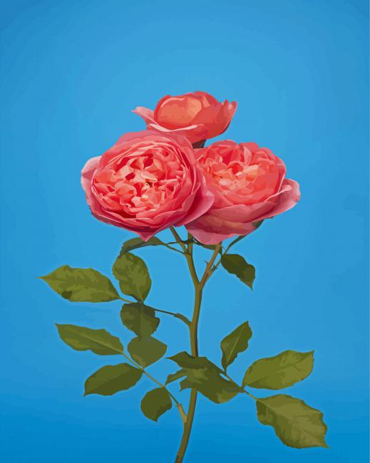 Finalized Pink English Roses Artwork