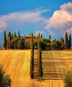 Harvest Season Farm Landscape Paint By Numbers