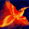 Fawkes Fantasy Bird Paint By Numbers