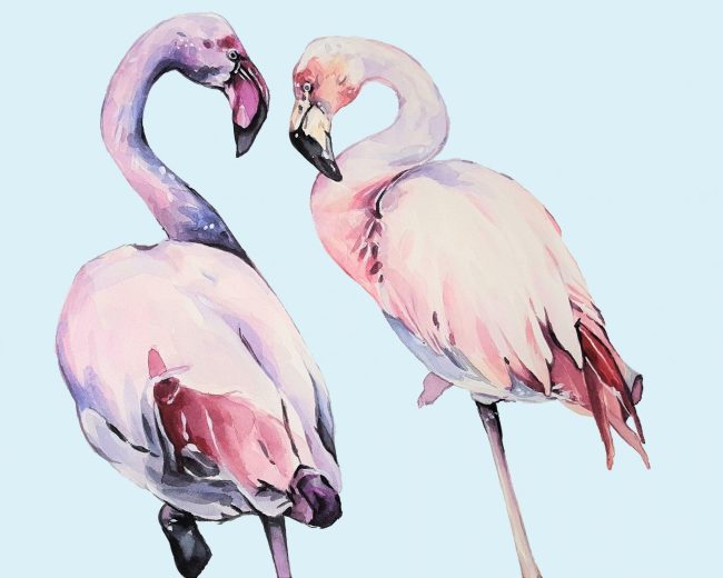 Pink Flamingos Paint By Numbers