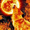 Fire Wolf Fantasy Paint By Numbers