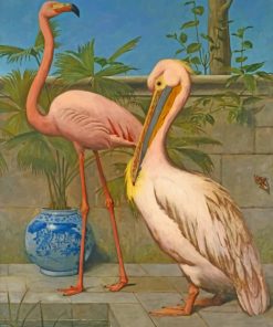Flamingo and Pelican Birds Paint By Numbers