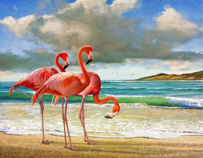 Flamingo Beachside Birds Paint By Numbers