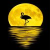 Moonlit Flamingo Silhouette Paint By Numbers