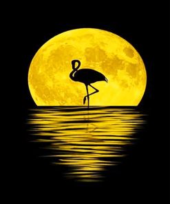 Moonlit Flamingo Silhouette Paint By Numbers