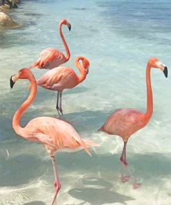 Pink Flamingo Beauty Paint By Numbers