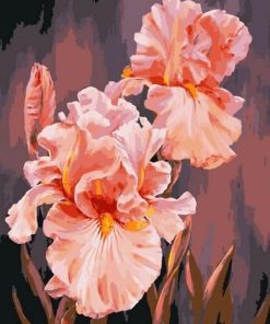 Pink Beautiful Flower Picture Paint By Numbers