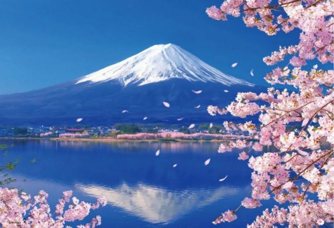 Lake Kawaguchi Cherry Blossom Scenery Paint By Numbers