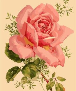 Gorgeous Pink Blossom Paint By Numbers