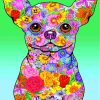 Colorful Chihuahua and Flowers Paint By Numbers