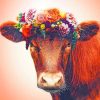 Floral Crown Cow Paint By Numbers