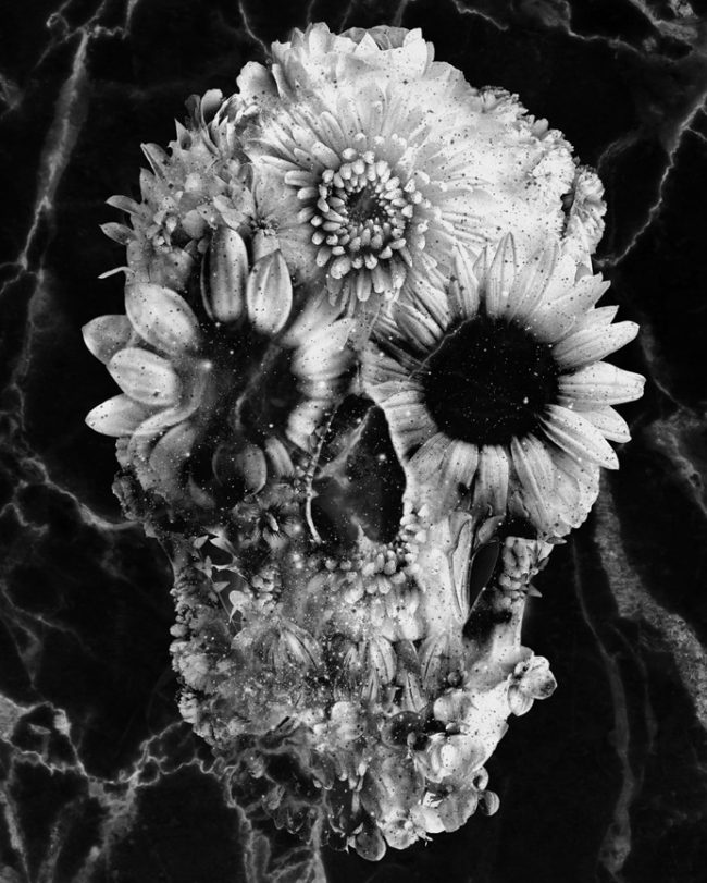 Floral Skull Black and White Paint By Numbers