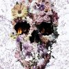 Upland Floral Skull Paint By Numbers
