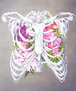 Floral Anatomy Flowers Paint By Numbers