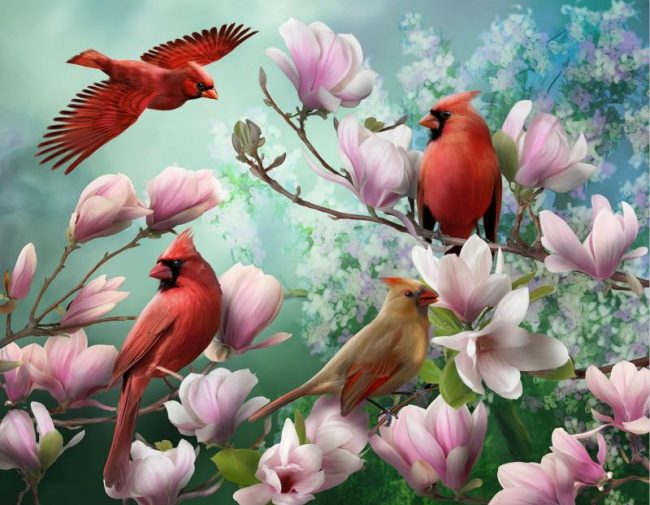 Bird Paradise Paint By Numbers