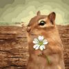 Squirrel and Flower Paint By Numbers