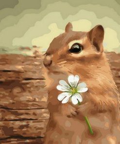 Squirrel and Flower Paint By Numbers