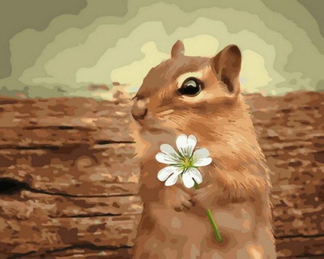 Squirrel and Flower Paint By Numbers