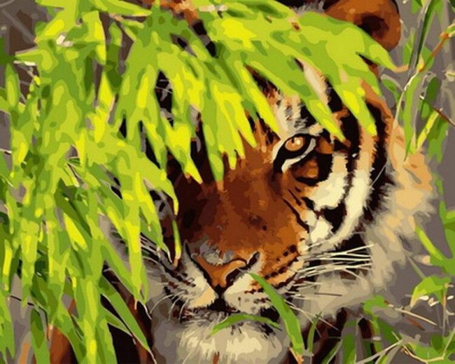 Tiger Hidden in Foliage Paint By Numbers