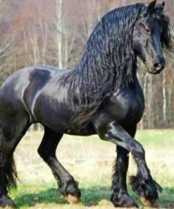 Majestic Friesian Horse Paint By Numbers