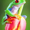 Cheerful Frog on Tulip Paint By Numbers