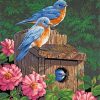 Bluebird Gardens Paint By Numbers