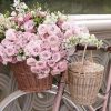 Pink Roses Bicycle Scene Paint By Numbers