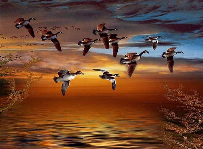 Sunset Geese Migration Paint By Numbers